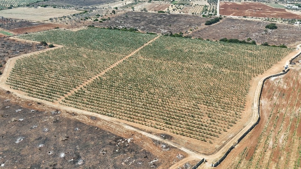 Giano Group Immobiliare